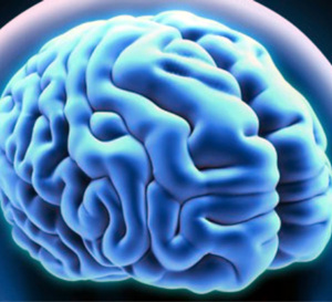 Pasteurdon 2022 : les organoïdes cérébraux pour étudier le vieillissement précoce du cerveau