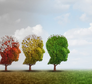 Traitement anti-Alzheimer Lecanemab : 3 questions au Pr. Bruno Vellas, co-auteur de l'étude