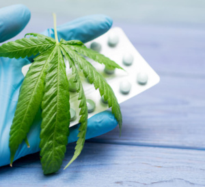 Cannabis thérapeutique : l'expérimentation est prolongée